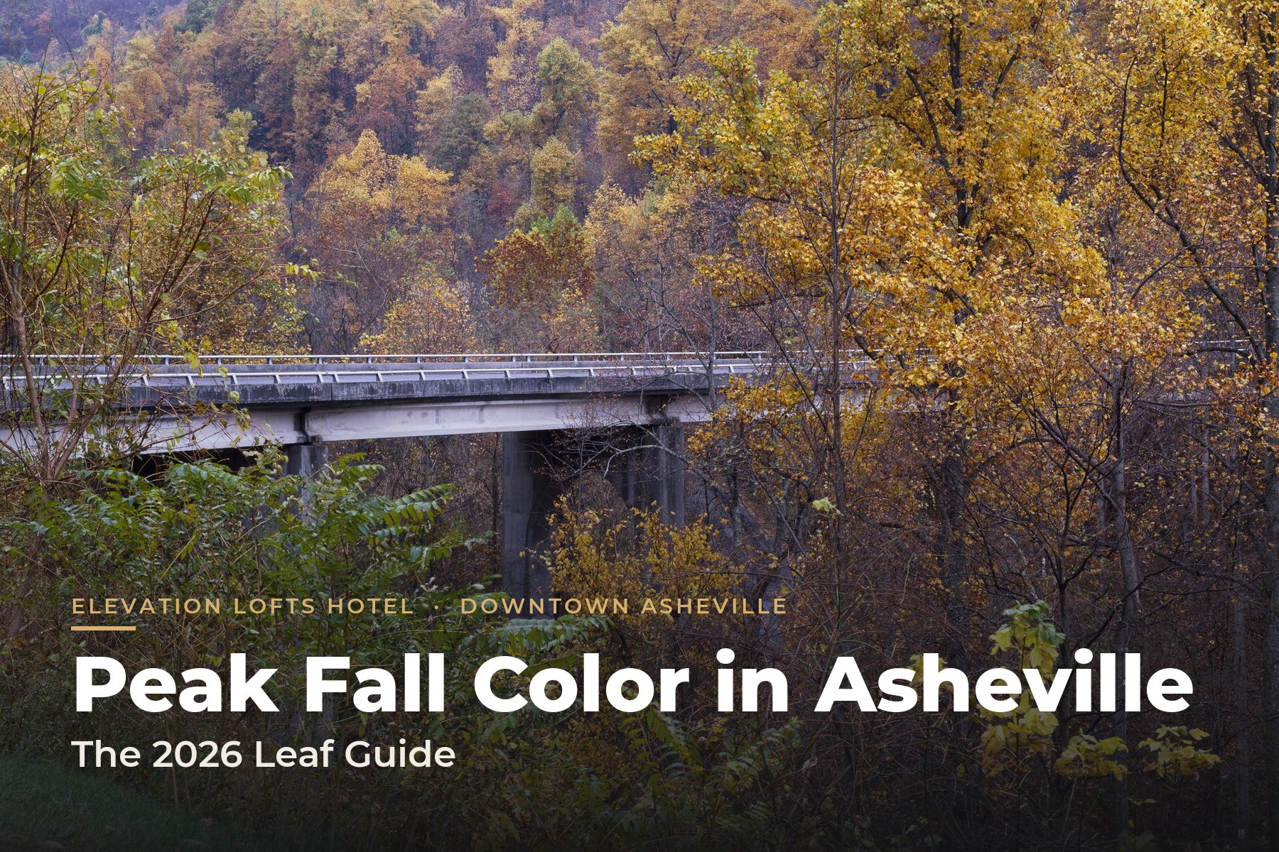 Blue Ridge Parkway viaduct surrounded by gold and orange fall foliage near Asheville, NC